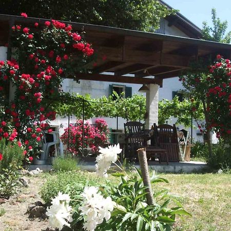 Casa Di Alfredo B&B - Citr9039 Mioglia Bagian luar foto